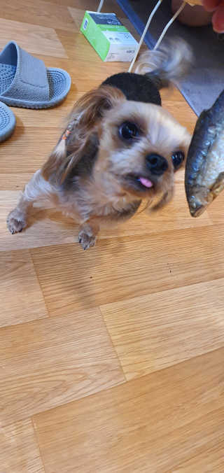 포포맘님이 올린 리뷰 사진 2