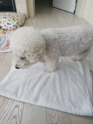 KAY님이 올린 리뷰 사진 3
