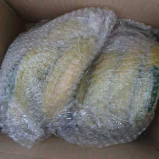 [스미후루] 감숙왕 바나나 2팩 2.6kg 이벤트 — 5점을 준 리뷰어가 2020년 10월 올린 사용 사진