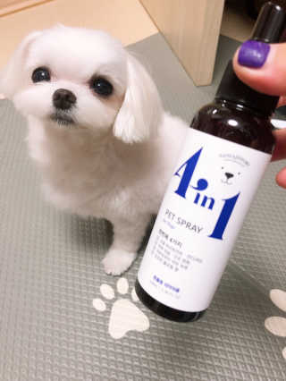 뚜덩맘님이 올린 리뷰 사진 2