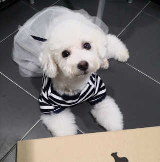 SunmerYang님이 올린 리뷰 사진 4