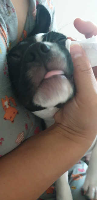 jeinok님이 올린 리뷰 사진 3