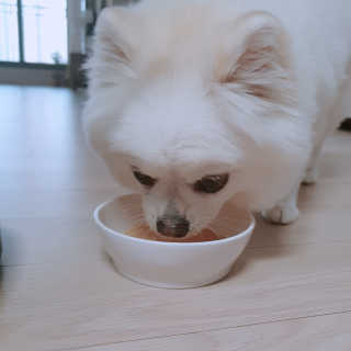 꺼네오기님이 올린 리뷰 사진 1