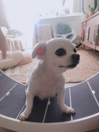 designerjoo님이 올린 리뷰 사진 2