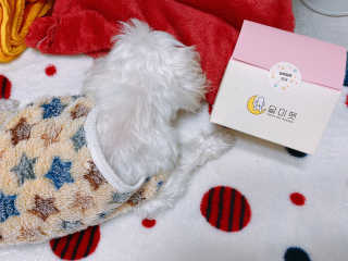 ejejejluv님이 올린 리뷰 사진 2