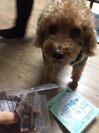 My Pet Care 천연단백질 눈건강에 개좋아 — 5점을 준 리뷰어가 2020년 12월 올린 사용 사진