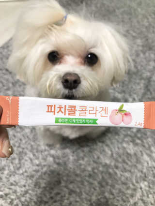 윤퍼플님이 올린 리뷰 사진 3