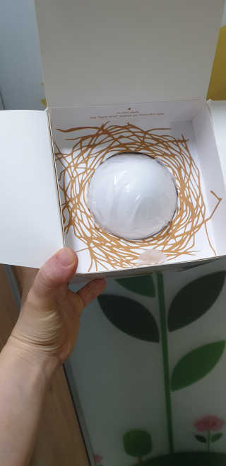 에잇스라잇 알에서 새가 깨어나는 감성 디자인 무드등, 에그라이트 — 5점을 준 리뷰어가 2020년 5월 올린 사용 사진