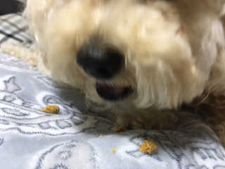 하이예령님이 올린 리뷰 사진 4