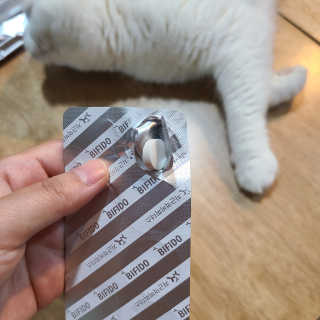 논지님이 올린 리뷰 사진 4