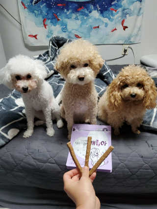 My Pet Care 천연단백질 치아건강에 개좋아 — 5점을 준 리뷰어가 2020년 11월 올린 사용 사진