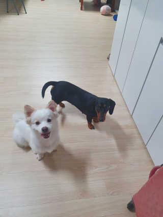 킹유쥬님이 올린 리뷰 사진 3
