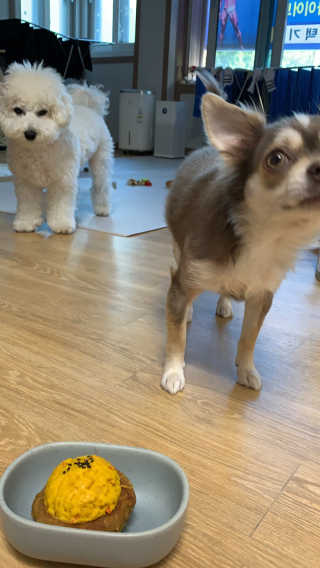 외모되죠님이 올린 리뷰 사진 1