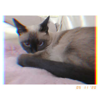 1점5리터님이 올린 리뷰 사진 4