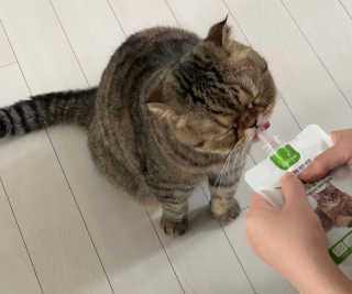비마님이 올린 리뷰 사진 2