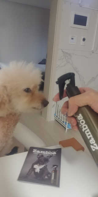 갱스터님이 올린 리뷰 사진 3