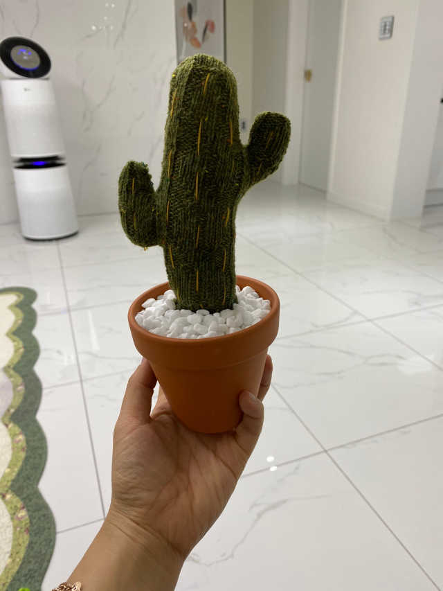 [DIY] 공기정화 선인장 양말인형 리뷰 사진