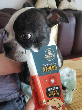 더펫원츠 [5초양치] 멍.치카펜 or 냥.치카펜 or 치카오일펜 — 4점을 준 리뷰어가 2020년 8월 올린 사용 사진