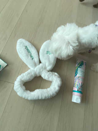 황방울이님이 올린 리뷰 사진 3