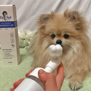로루남매님이 올린 리뷰 사진 1