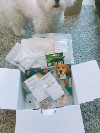 윤퍼플님이 올린 리뷰 사진 2