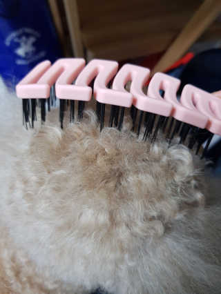 진진바님이 올린 리뷰 사진 1