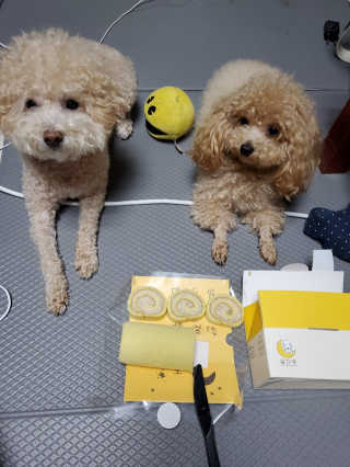 모모맘님이 올린 리뷰 사진 4