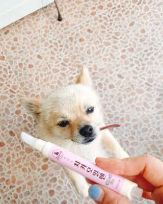 더펫원츠 [댕냥이 치석제거 덴탈오일] 치카오일+셀프스케일러 — 5점을 준 리뷰어가 2020년 6월 올린 사용 사진