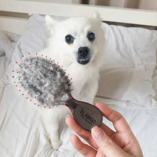YH님이 올린 리뷰 사진 3
