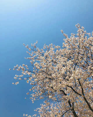 쪼님이 올린 리뷰 사진 3