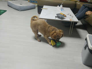 kiki._.yeji님이 올린 리뷰 사진 4