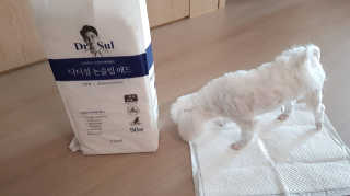 담님이 올린 리뷰 사진 2