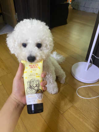 버츠비 케어플러스 릴리빙포앤노즈로션 — 5점을 준 리뷰어가 2020년 10월 올린 사용 사진