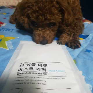 신사로이님이 올린 리뷰 사진 2
