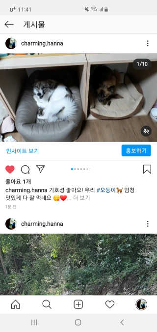 [푸디웜] 라포그 코어덴탈츄 그린 (10개입) — 5점을 준 리뷰어가 2020년 10월 올린 사용 사진
