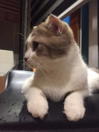 hysuneese님이 올린 리뷰 사진 1