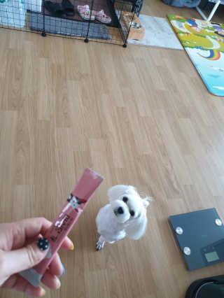 삐랭이님이 올린 리뷰 사진 3