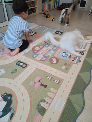 김재이님이 올린 리뷰 사진 3