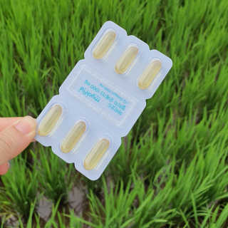 JW중외제약 마이코드 알티지 오메가3 1000 mg — 3점을 준 리뷰어가 2020년 8월 올린 사용 사진
