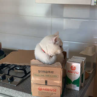 례진님이 올린 리뷰 사진 3
