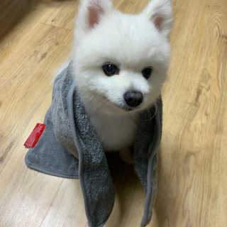 YeonjuLim님이 올린 리뷰 사진 3
