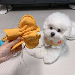 아시안님이 올린 리뷰 사진 3