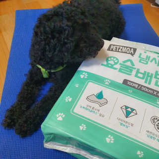 브릿님이 올린 리뷰 사진 2