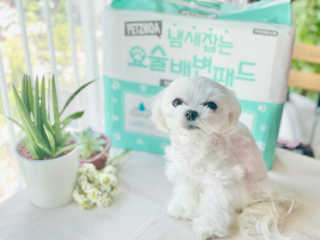 모소리네님이 올린 리뷰 사진 2