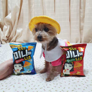 솜희님이 올린 리뷰 사진 4