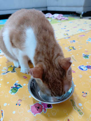 귤양님이 올린 리뷰 사진 4
