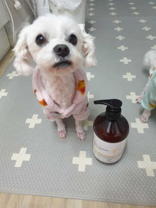 달리프 베러 퍼퓸 샴푸 1000ml 레이니데이 or 일랑로즈 — 5점을 준 리뷰어가 2020년 11월 올린 사용 사진