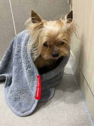 황방울이님이 올린 리뷰 사진 3