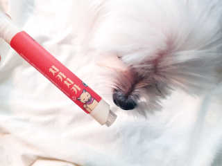 미카님이 올린 리뷰 사진 1