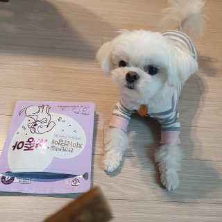 My Pet Care 천연단백질 치아건강에 개좋아 — 5점을 준 리뷰어가 2020년 12월 올린 사용 사진